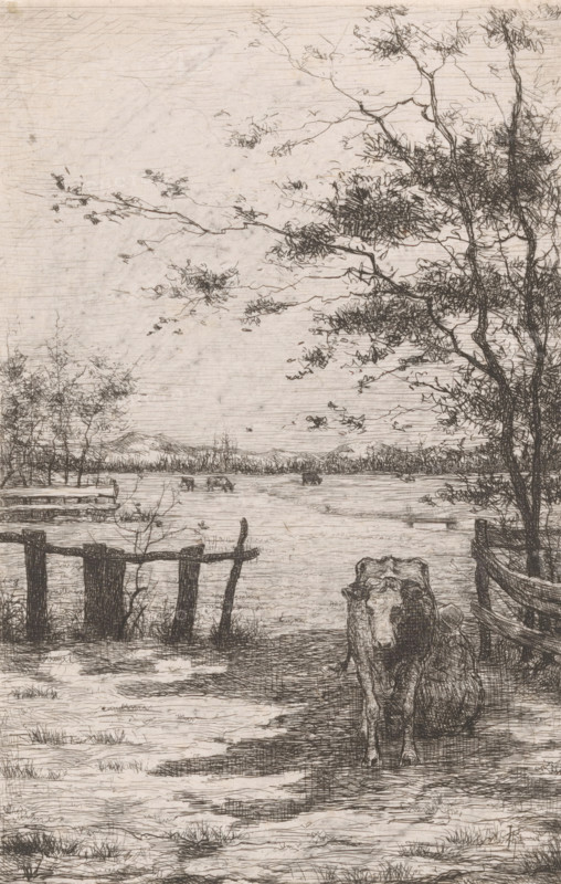 Cow being milked in a meadow, print, printmaker: Philip Zilcken, 1867 - 1890, paper, etching, intaglio printmaking technique, height 222 mm x width 144 mm, meadow, pasture, milking, cow, A detailed monochrome sketch shows a pastoral riverside scene with a cow standing in the foreground near a wooden fence and a narrow path, a leafed tree rising on the right with branches stretching into the sky, additional trees and low vegetation along the water’s edge, a calm body of water extending toward a distant treeline, faint silhouettes of more cattle or large shapes in the water area, a simple dock or pier structure on the left, scattered grasses and textured ground in the foreground, and a lightly hatched sky filling the upper portion of the image.