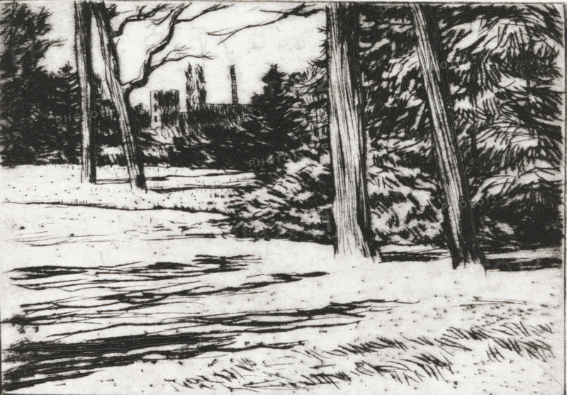 Forest and chimney, print, In the foreground a forest and in the background on the horizon a chimney., signature: 'KEES STOOP', printmaker: Kees Stoop (signed by artist), 1944 - c. 1990, paper, drypoint, height 240 mm x width 277 mm, height 140 mm x width 200 mm, forest, wood, A black and white etching showing a landscape with tall tree trunks in the foreground and dense evergreen foliage behind them, a cleared ground area with textured lines and scattered short strokes suggesting grass or snow, and distant vertical structures partially obscured by trees under a pale sky.