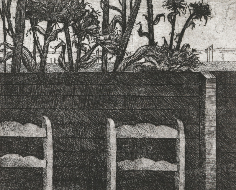 Chairs by fence, print, Backrests of chairs in front of a fence behind which sunflowers stand., signature: 'KEES STOOP', printmaker: Kees Stoop (signed by artist), 1944 - c. 1990, paper, etching, intaglio printmaking technique, etching with plate tone, height 185 mm x width 213 mm, height 125 mm x width 152 mm, backyard, A detailed black and white sketch shows the tops of vertical posts and horizontal planks forming a fence or barrier, with textured shading and crosshatching across the wood surfaces; above the planks twisted plants and tall stems rise with leafy, flowing shapes and tangled roots, and slender trunks and branches extend upward against a lightly textured background.