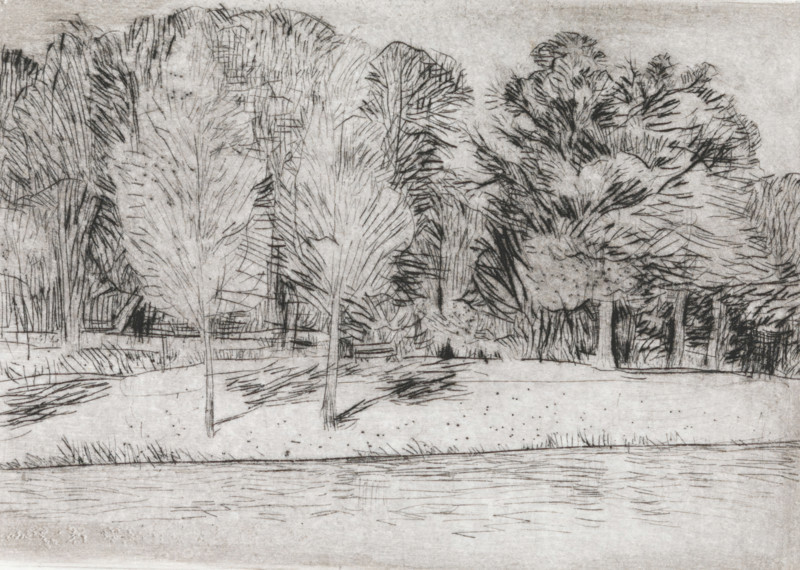 Park by the water, print, a bench in the middle of the image., signature and date: 'KEES STOOP', printmaker: Kees Stoop (signed by artist), 1944 - c. 1990, paper, drypoint, intaglio printmaking technique, drypoint with plate tone, height 175 mm x width 232 mm, height 125 mm x width 177 mm, park, A monochrome sketch of a landscape showing a row of trees with varied foliage along a grassy bank, their trunks and branches drawn with fine, textured lines; in front of the trees a horizontal strip of water reflects short, horizontal strokes and ripples, and the ground between trees and water is marked with scattered small dots and short hatch marks; the sky area above is lightly shaded and the overall image consists of delicate cross-hatching and linear marks creating the forms and textures.