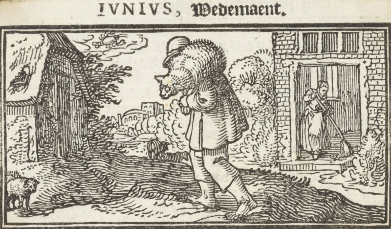 June, Parable of the Lost Sheep, Months of the year, print, book illustration, A shepherd carries his lost sheep on his shoulders. In the background a woman searching for her tenth coin., Netherlands, printmaker: Dirck de Bray, 1600 - 1699, paper, woodcut, letterpress printing, woodcut and text in letterpress, height 46 mm x width 80 mm, the lost sheep sought and found by the shepherd, parable of the good shepherd (Matthew 18:12-14, Luke 15:4-7), the lost piece of silver recovered (Luke 15:8-9), other concepts (with Cancer (June)), A black and white woodcut scene shows a cloaked figure walking across a textured landscape while carrying a sheep draped over their shoulders; the figure wears a hat and knee-length garment and is depicted in profile with their head bowed. To the right, a doorway set in a brick wall contains a person leaning forward and holding a long-handled broom or mop, standing on a threshold with vertical planking behind them. On the left, a tree with dense foliage rise...
