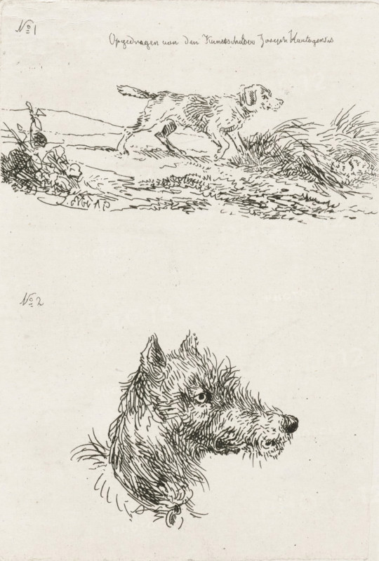 Dog's head and dog in landscape, print, printmaker: Guillaume Anne van der Brugghen, Netherlands, after design by Guillaume Anne van der Brugghen, dedicated to: Joseph Hartogensis, c. 1856, Guillaume Anne van der Brugghen, Joseph Hartogensis, printmaker, paper, chine collé, etching, etching on chine collé, height 112 mm x width 77 mm, dog, A light-toned page with two ink sketches of dogs, the upper sketch showing a full-bodied dog in profile walking through low grass and foliage with fine linework suggesting fur and ground texture, and the lower sketch depicting a detailed head and neck of a shaggy dog in three-quarter profile with textured strokes for fur and a visible collar, all rendered in thin, dark lines on a pale background.