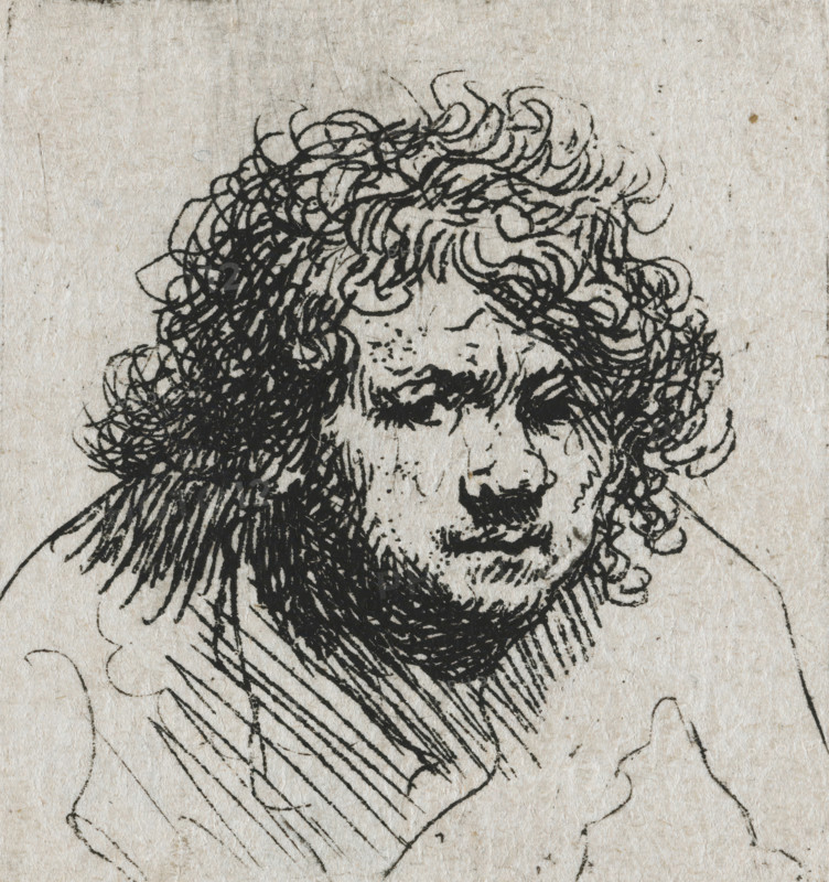 Self-portrait leaning forward: bust, print, printmaker: Rembrandt van Rijn, c. 1629, paper, etching, height 43 mm x width 40 mm, Person, A close-up black ink drawing on textured beige paper showing the upper part of a face with a mass of curly hair and a furrowed brow, dark ink strokes forming dense curls, heavy shaded lines around the eyes and mouth, and hatched strokes suggesting a garment or cloak below the chin.