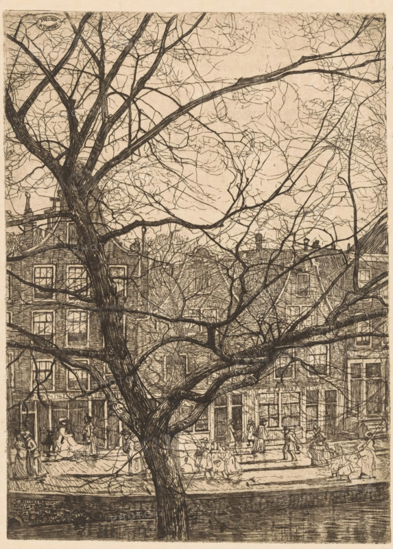 Canal houses with neck gables in Amsterdam, print, In the foreground a bare tree. Figures walking on the canal., printmaker: Pieter Dupont, Amsterdam, 1895-11, paper, zinc etching, intaglio printmaking technique, height 273 mm x width 198 mm, canals, waters (in city), trees (bare plant), A detailed sepia-toned etching shows a large leafless tree with thick textured trunk and many intertwining branches filling the foreground, its limbs stretching across the entire scene. Behind the tree, a row of tall narrow brick buildings with multiple windows and varied rooflines lines a street, their facades rendered with fine crosshatching and architectural detail. On the street in front of the buildings, numerous small figures in period clothing walk, stand, and interact, some appearing to carry items or push carts. A canal or body of water runs along the bottom edge, bordered by a paved embankment, and a few lampposts and rooftop ornaments are visible among the buildings and branches. The sky abo...