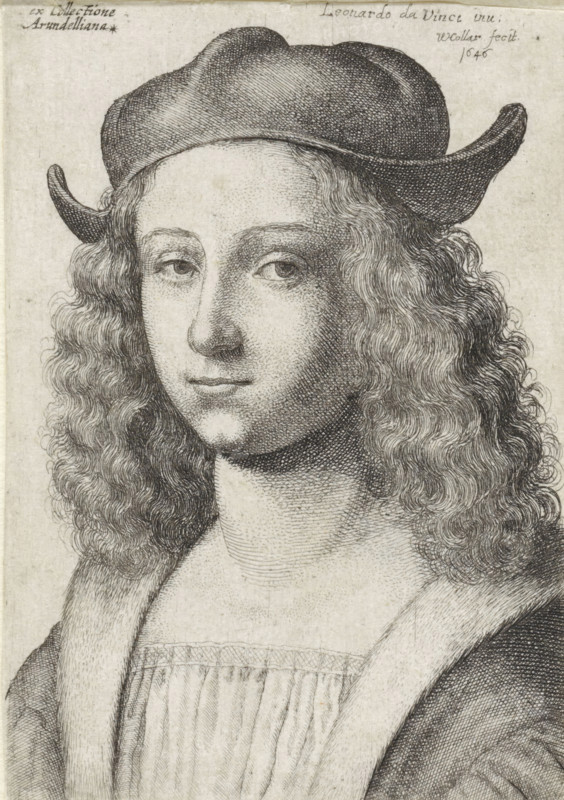 Portrait of a young man with long curly hair and a hat, print, printmaker: Wenceslaus Hollar, Antwerp, after design by Garofalo, after design by Leonardo da Vinci, 1646, paper, etching, height 97 mm x width 66 mm, adult man, head-gear: cap (men's clothes), A black and white engraved portrait of a young person shown from the chest upward wearing a wide-brimmed, soft hat and wavy, shoulder-length hair; the face is rendered with fine line shading, featuring arched brows, almond-shaped eyes gazing slightly forward, a straight nose, and closed lips forming a neutral expression; the subject wears a garment with a fur-lined collar over a pleated bodice, and the background is plain with visible paper texture.