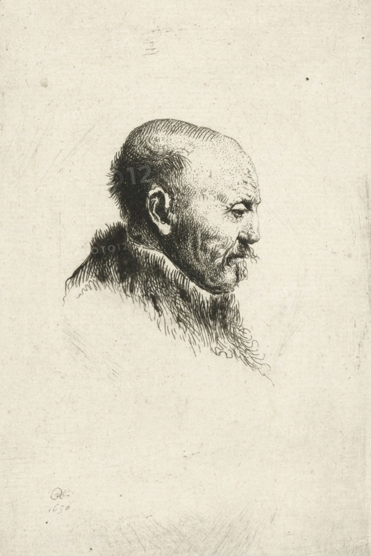 Bald headed man in profile right: the artist's father (?), print, printmaker: Ignace-Joseph de Claussin, after print by Rembrandt van Rijn, 1805 - 1844, Ignace-Joseph de Claussin, Rembrandt van Rijn, printmaker, after print by, paper, etching, height 133 mm x width 89 mm, Person, Harmen Gerritsz. van Rijn, old man, baldness, A monochrome pen or etching portrait of an elderly man shown in profile facing right, with a receding hairline, sparse hair on top, denser hair at the back of his head, pronounced ear, and a thin mustache and goatee; his facial features are rendered with fine, stippled and hatched lines showing wrinkles and textured skin, and he wears a fur-collared garment with dense, flowing strokes suggesting hair or fur, all set against a plain, lightly textured background.