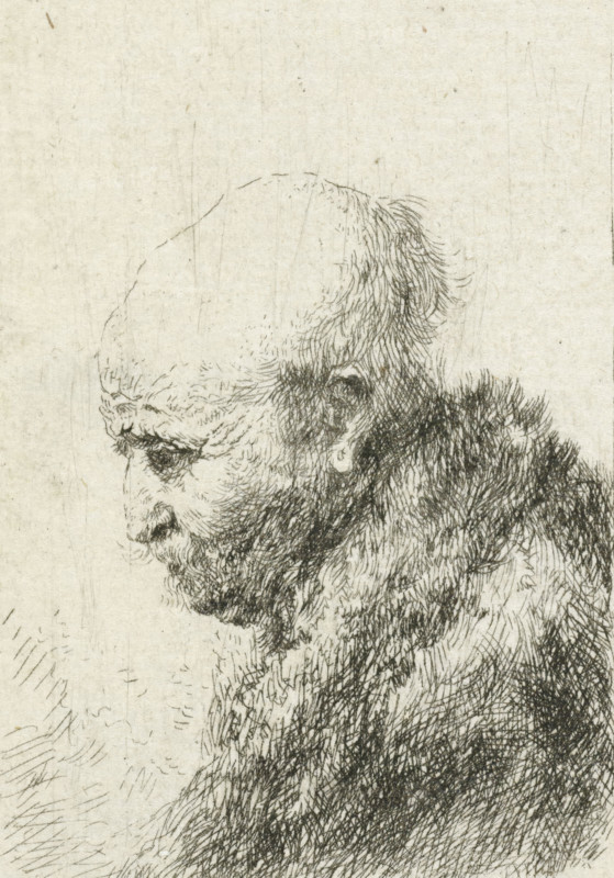 Bald headed man in profile right: small bust, the artist's father (?), print, printmaker, after print by, Rembrandt van Rijn, paper, etching, height 81 mm x width 62 mm, Mirror-image copy after the print of the same name by Rembrandt., Person, Harmen Gerritsz. van Rijn, old man, baldness, A detailed ink drawing of an elderly man in profile facing left, showing a bald, rounded scalp, a deeply wrinkled forehead, a prominent hooked nose, a downturned mouth, a full beard and mustache with dense, short strokes, a visible ear partly obscured by hair, and textured shading on his neck and upper shoulders against a plain, slightly textured background.