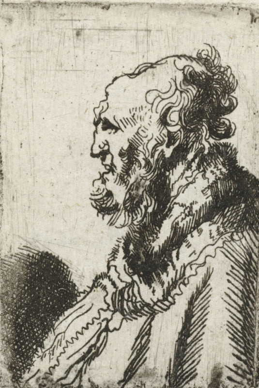 Bald old man with a short beard, in profile right, print, printmaker, after print by, Rembrandt van Rijn, paper, etching, intaglio printmaking technique, height 56 mm x width 38 mm, Mirror image copy after the print of the same name by Rembrandt., old man, A monochrome ink drawing of an elderly profile facing left, showing a bald forehead with a receding hairline and a mass of curly hair at the back of the head. The face has a prominent hooked nose, a pronounced brow, deep-set eye, and a long, wavy beard with detailed line work. The neck and shoulders are draped in textured, layered clothing with dense cross-hatching and flowing lines. The background is a plain, lightly textured paper with faint scratches and marks.