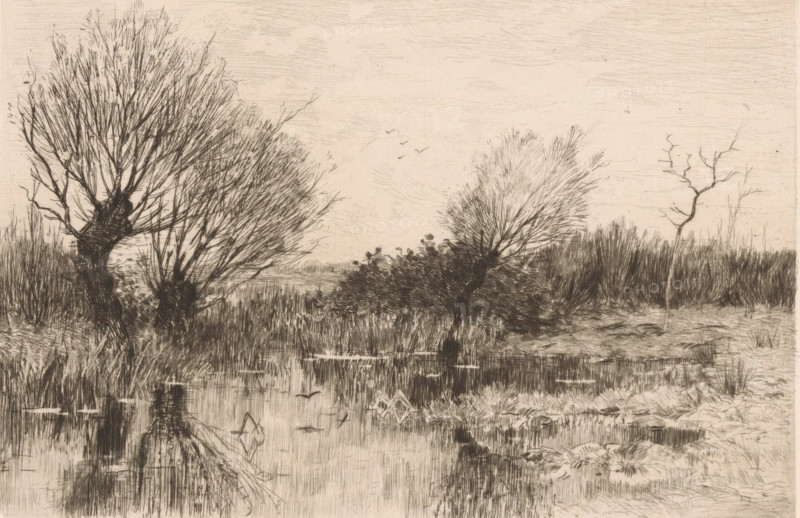 Pollarded willows by the water, A quiet spot (original title), print, printmaker: Geo Poggenbeek (signed by artist), 1863 - 1903, paper, chine collé, etching, intaglio printmaking technique, etching with plate tone on chine collé, height 174 mm x width 225 mm, water course, trees: willow, A monochrome etching of a marsh landscape with clusters of leafless, twiggy trees and shrubs along a water edge, tall grasses and reed beds surrounding the scene, a calm reflective water surface showing faint mirror images of the vegetation, a few birds depicted in flight over the distant horizon, a bare twisted tree trunk standing isolated to one side, and a textured sky with fine horizontal etching marks.
