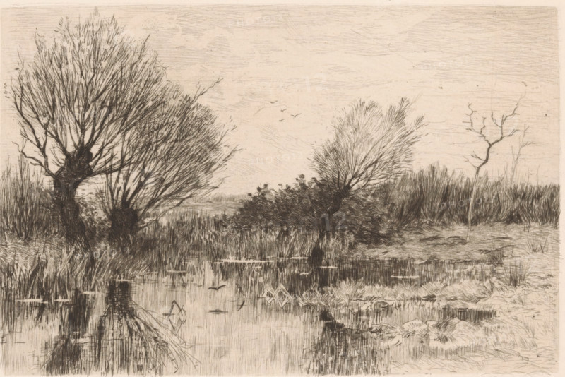 A quiet spot (original title on object), print, Pollard willows by the water., printmaker: Geo Poggenbeek, 1863 - 1903, paper, chine collé, etching, intaglio printmaking technique, height 174 mm x width 225 mm, water course, trees: willow, A monochrome etched landscape showing a marshy foreground with still water reflecting vegetation, tall grasses and reeds at the water’s edge, and tangled rootlike forms partly visible in the reflection; on the left a large, gnarled tree with many fine bare branches rises from the bank, with dense undergrowth at its base, and to the right several smaller, windswept trees and shrubs with thin, branching silhouettes stand against a distant band of reedlike vegetation; the sky above is lightly textured with faint horizontal and diagonal lines and a few small birds are drawn in flight near the center.