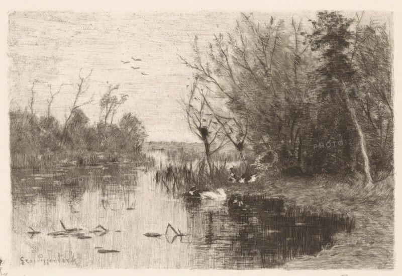 Eendenplas (original title), Ducks along and on the bank of a pond, print, printmaker: Geo Poggenbeek (signed by artist), 1863 - 1903, paper, chine collé, etching, intaglio printmaking technique, etching with plate tone on chine collé, height 175 mm x width 227 mm, lake, water-birds: duck, A monochrome etching of a riverside scene showing a calm stretch of water bordered by tall, leafless and densely foliaged trees, with reeds along the near shore and reflections on the water surface. Several waterfowl float near the bank while a few birds are visible in flight above the distant tree line. The right side of the image is dominated by a cluster of dense trees and undergrowth, including a slender, lighter-colored tree trunk leaning inward, while the left side opens to a more distant view of low vegetation and barren branches. The sky is textured with fine horizontal etching marks and the foreground includes detailed ripples and reflections in the water.