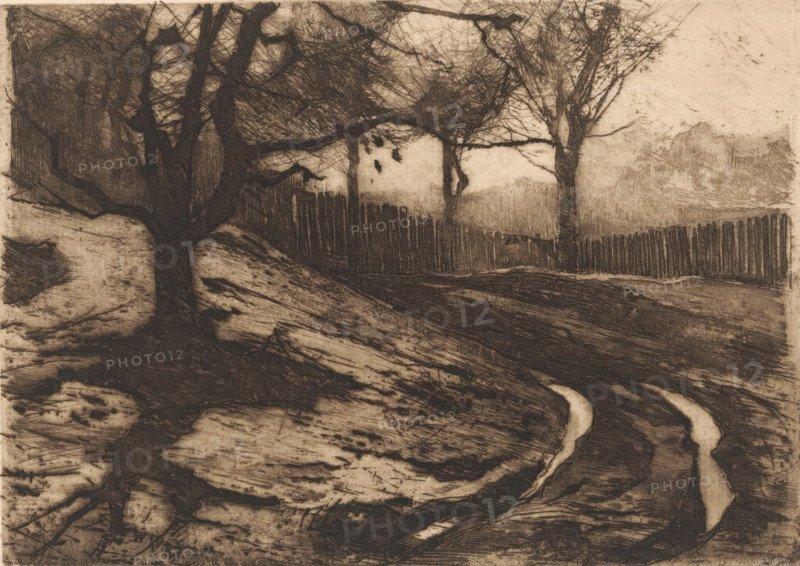 Landscape with trees and fence, print, printmaker: Willem Witsen, Ewijkshoeve (Den Dolder), 1887, Den Dolder, paper, etching, intaglio printmaking technique, drypoint, height 139 mm x width 199 mm, landscapes in the temperate zone, fence, wall, paling, trees, A monochromatic landscape sketch shows a foreground of textured ground with swirling, striated patterns and two pale, winding channels cutting through it, leading toward a midground with a large, dark tree trunk and exposed roots on the left and a fence of vertical slats stretching across the scene, partially obscured by tangled, leafless branches of several trees whose bare limbs form a dense network against a lighter sky, with softer, shaded forms suggesting distant foliage on the right.