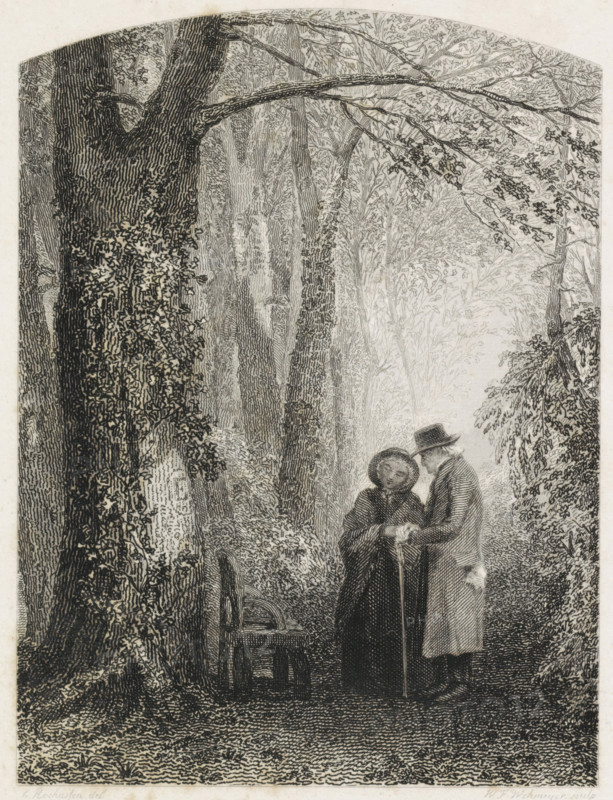 Elderly couple in a forest, print, An elderly couple stands in a forest with a stick. The capital letter 'E' with a circle is scratched into the bark of the tree on the left. A chair stands in front of the tree., printmaker: Willem Frederik Wehmeyer, Amsterdam (possibly), after drawing by Charles Rochussen, 1834 - 1854, paper, etching, engraving, steel engraving and etching, height 172 mm x width 111 mm, old woman, couple of lovers, chair, old man, forest, wood (landscape with figures, staffage), A densely detailed black and white illustration of a wooded scene with tall trees and intertwining branches forming a canopy, textured bark and foliage filling much of the composition, a simple wooden bench beside a large trunk, and two elderly figures standing near the bench in long coats and hats, one leaning on a walking stick while the other faces them, all rendered with fine linework and stippling.