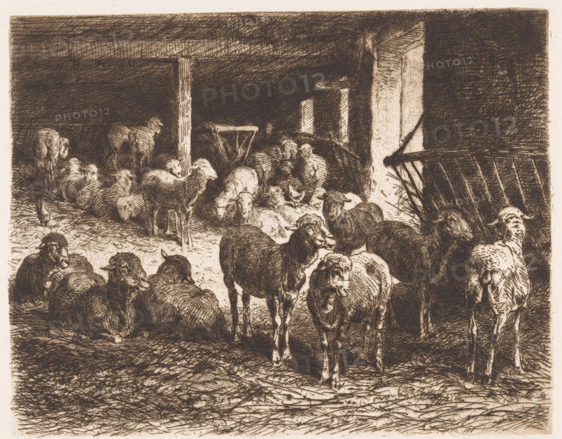 Sheep in a barn, print, printmaker: Albert Heinrich Brendel, Weimar, publisher: Weimarer Radierverein, 1887, Thuringia, paper, chine collé, etching, intaglio printmaking technique, etching with plate tone in brown, on chine collé, height 231 mm x width 277 mm, Print is part of a group of prints published between 1880 and 1888 by the Gesellschaft für Radierkunst in Weimar., sheep, barn - AA - civic architecture: inside, A densely shaded pen-and-ink scene of a barn interior filled with sheep, showing animals standing and lying on a textured floor; wooden beams and posts form the structure with a tall post near center and a partially visible doorway or opening to the right; a feeding rack or gate with slats leans against the right wall; hay or straw is scattered on the ground and tucked near the rack; various sheep faces and woolly bodies are rendered in crosshatched lines, some looking forward, some turned away, with shading creating depth and contrast between the darker background and l...