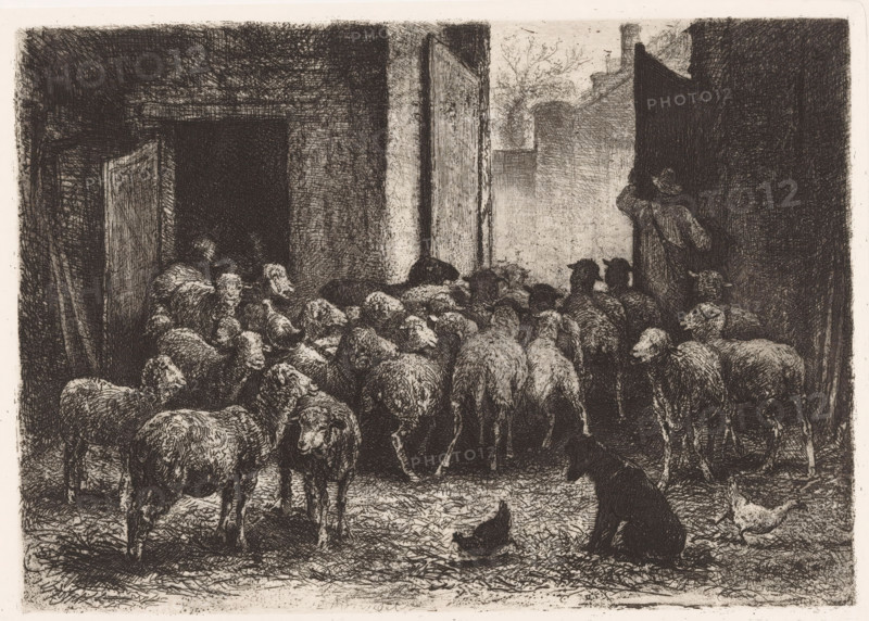 Sheep leaving the barn, print, printmaker: Albert Heinrich Brendel, Weimar, publisher: Weimarer Radierverein, 1886, Thuringia, paper, chine collé, etching, intaglio printmaking technique, height 204 mm x width 288 mm, Print is part of a group of prints published between 1880 and 1888 by the Gesellschaft für Radierkunst in Weimar., herding, herdsman, herdswoman, shepherd, shepherdess, cowherd, sheep, barn, A detailed monochrome scene shows a flock of sheep filling a narrow courtyard or alley, their woolly bodies densely grouped and facing various directions; a person wearing a hat and coat stands at one side near a wall, seen from behind and partly silhouetted, appearing to guide or watch the animals; a dark dog sits in the foreground with a chicken nearby on textured ground; surrounding walls, doorways, and an open gate create a framed passageway with light filtering in from the distance, and the image is rendered with fine, crosshatched lines and rich shadowing.