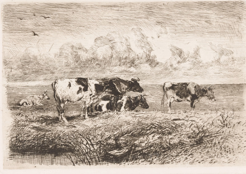 Cows in the meadow, print, printmaker: Albert Heinrich Brendel, Weimar, publisher: Weimarer Radierverein, 1885, Thuringia, paper, chine collé, etching, intaglio printmaking technique, height 176 mm x width 256 mm, Print is part of a group of prints published between 1880 and 1888 by the Gesellschaft für Radierkunst in Weimar., meadow, pasture, cow, A wide horizontal landscape rendered in fine pen lines shows a group of cows on grassy ground near a body of water, with some cows standing and some reclining; their coats are marked with darker patches against a lighter background. The foreground contains textured grasses and low vegetation drawn with dense hatch marks. The middle ground features the cows arranged across the scene, one cow separated to the right and others grouped toward the center, their horns and facial profiles indicated by delicate strokes. The distant horizon and water are suggested by horizontal lines. Above, the sky is filled with layered, swirling cloud formations a...