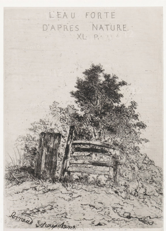 Nature-based water XL P., Fence in front of a vegetated hillock, print, printmaker: Arnoud Schaepkens, 1855 - 1904, paper, etching, drypoint, etching and drypoint, height 214 mm x width 157 mm, landscapes, annexes and outbuildings, fencing, gate, A vertical monochrome etching showing a rough wooden gate or fence leaning at an angle amid dense foliage and grasses, with a tall tree rising behind the barrier and textured ground in the foreground, faint horizontal shading in the sky area, and handwriting near the top and a signature at the bottom.
