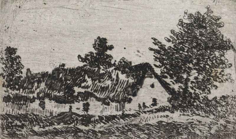 Thatched house in a landscape, print, printmaker: Arnoud Schaepkens, 1855 - 1904, paper, chine collé, etching, drypoint, etching and drypoint, height 52 mm x width 85 mm, cottage, A monochrome etched landscape showing a sloping field in the foreground with visible hatch and line shading, grasses and small clustered vegetation, a triangular-roofed cottage partially obscured by foliage, and groups of trees with dense, looping leaf textures extending across the middle and right side; the sky above is textured with faint scratches and speckles.