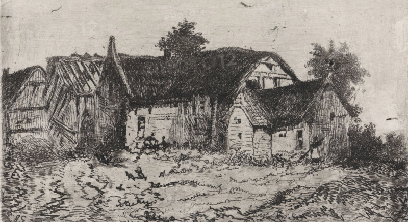 Group of thatched houses, print, printmaker: Arnoud Schaepkens, 1855 - 1904, paper, chine collé, etching, drypoint, etching and drypoint, height 130 mm x width 220 mm, cottage, A monochrome etched scene of several adjoining thatched cottages with steep roofs and textured walls, surrounded by low vegetation and small bushes, with a tree rising behind the central roof; the foreground shows a rough, undulating ground with scattered plants and a few small birds, while two human figures appear near doorways and windows; the sky is pale and sparsely marked with a few faint strokes.