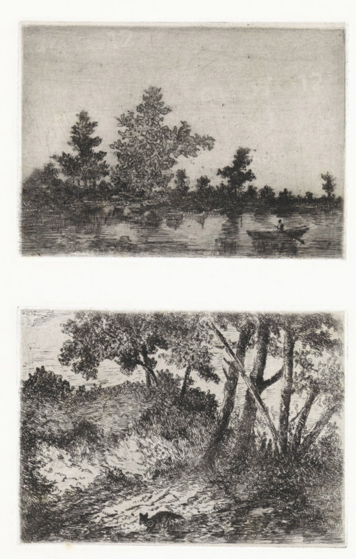 Water landscape with rowboat, Woodland landscape with a fox, print, printmaker: Arnoud Schaepkens, 1855 - 1904, paper, chine collé, etching, drypoint, etching and drypoint, two images on one sheet, printed from two different plates, height 108 mm x width 152 mm x height 109 x width 150, landscapes with waters, waterscapes, seascapes (in the temperate zone), beasts of prey, predatory animals: fox, boat propelled by man or animal, A vertical print showing two separate etched landscape scenes stacked one above the other, each framed by a thin rectangular border; the upper scene depicts a calm body of water with reflected ripples, a low treeline along the far shore with a variety of tree silhouettes rising against a pale sky, and a small rowboat near the right shore with a seated figure holding an oar; the lower scene shows a shaded riverside or woodland clearing with tall trees at the right edge, dense undergrowth and textured ground, and a small animal moving in the foreground.