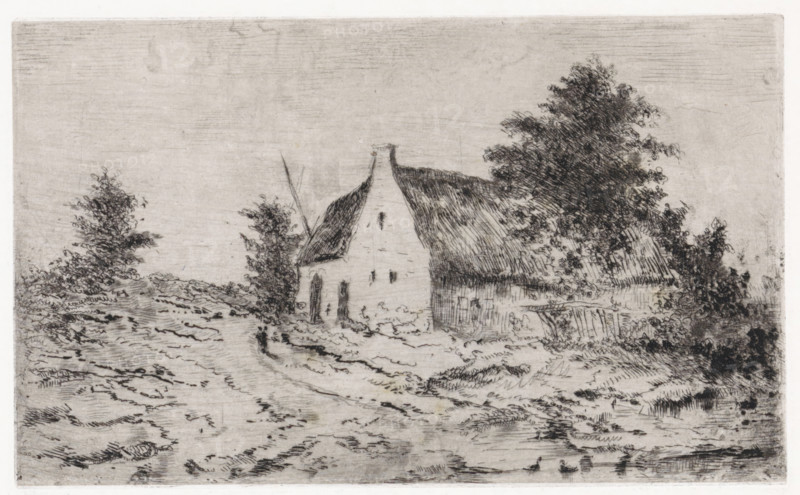 Landscape with farm and pond with ducks, print, printmaker: Arnoud Schaepkens, 1855 - 1904, paper, chine collé, etching, drypoint, etching and drypoint, height 119 mm x width 195 mm, farm or solitary house in landscape, water-birds: duck, fish pond (in garden), A monochrome etching shows a rural scene with a thatched cottage partially obscured by trees and foliage, the cottage featuring a steep roof and a chimney, with visible door and narrow windows; rough, textured ground and a dirt path lead toward the building, with low vegetation and shrubs along the path and clustered trees of varying sizes around the cottage, their leaves rendered with dense, crosshatched lines, and the sky appearing pale and minimally detailed above the landscape.
