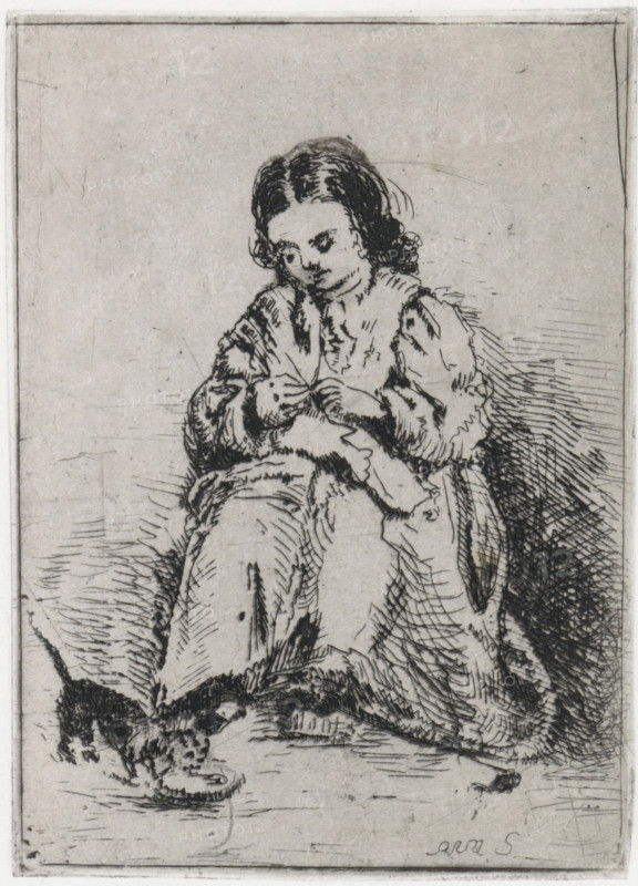 Sitting girl with knitting, print, printmaker: Arnoud Schaepkens, 1855 - 1904, paper, chine collé, etching, drypoint, etching and drypoint, height 131 mm x width 95 mm, knitting, A seated young person with curly dark hair and a downcast gaze wears a loose, long-sleeved garment with visible folds and shading, hands held together near the chest as if manipulating something small, the skirt of the clothing draping over the knees and creating layered, hatched lines; the background is plain with sparse, fine scratches and cross-hatched shadowing to the right and beneath the figure, and the lower foreground shows indistinct textured marks and a small dark shape near the hem of the dress.