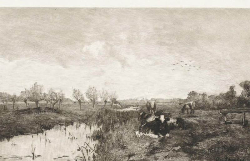 Calendar 1895, Polder landscape with cows, calendar, print, Cows are lying and standing in a meadow along a ditch. On the left, a row of pollard willows., printmaker: Willem Steelink (II), Netherlands, after design by Geo Poggenbeek, publisher: Roeloffzen & Hübner, Amsterdam, 1894, printer (person), paper, etching, letterpress printing, etching and text in letterpress, height 515 mm x width 389 mm, height 231 mm x width 335 mm, meadow, pasture, cow, A wide landscape rendered in monochrome with a large sky occupying most of the scene, textured with fine crosshatched shading and a few soft cloud shapes; beneath the sky a flat marshy plain with a reflective water channel at the left foreground lined with reeds and low grasses; a row of slender trees with sparse foliage stretches across the middle distance toward the left; clusters of darker, denser trees appear on the right horizon; several grazing and resting cows occupy the right foreground and midground, some lying down near the water ...