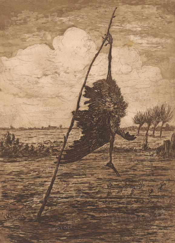 Dead bird as a scarecrow in a meadow, print, printmaker: Jan Willem Nortier (signed by artist), 1874 - 1914, paper, etching, intaglio printmaking technique, etching with plate tone in brown, height 328 mm x width 238 mm, birds (dying animal, death of animal, dead animal), scarecrow, A monochrome etching shows a tall, thin stick leaning diagonally across the image, intersecting a ragged, feathery mass that hangs and drapes from it, with a long narrow form extending downward like a leg and a smaller limb-like shape reaching outward. The background features a textured sky with swirling cloud shapes and horizontal scratch-like marks, and a distant flat landscape with low vegetation and a row of thin, leafless trees. The foreground contains a rough, striated ground surface with short plant shoots and linear grooves, and the overall image has a weathered, sepia-toned appearance with fine crosshatching and etched linework.