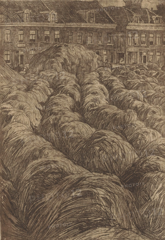 Hooioppers near a city, print, printmaker: Pieter Dupont (signed by artist), 1894-11, paper, zinkets, intaglio printmaking technique, height 210 mm x width 145 mm, city-view, and landscape with man-made constructions, hay-stack, A sepia-toned etching showing a foreground filled with rounded, overlapping mounds of textured, grasslike lines, each mound rendered with dense, curved hatch marks and fine strokes suggesting fibrous surfaces; behind the mounds a row of multistory townhouses with rectangular windows and varied rooflines forms a horizontal backdrop, the building facades depicted with vertical and horizontal linework, window panes and doorways visible, and dormer windows interrupting the sloped roofs.