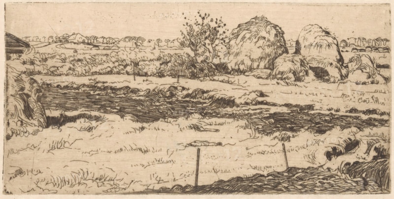 Field with haystacks, print, A piece of land fenced off with posts. On the left, part of a barn. In the background, haystacks., printmaker: Pieter Dupont (signed by artist), Amsterdam, 1895-11, paper, zincets, intaglio printmaking technique, height 102 mm x width 205 mm, meadow, pasture, hay-stack, A sepia-toned landscape sketch showing a flat field with textured grass and low vegetation across the foreground and middle ground, a winding dark water channel or furrow cutting through the scene, irregular clumps of taller grasses and bushes, and rounded haystacks or mounded vegetation grouped toward the right side; a solitary tree with sparse leaves rises near the center behind the water channel, distant low hills and a few hinted buildings sit on the horizon, and simple vertical posts punctuate the field in places, all rendered in fine linear etching strokes on a lightly mottled background.