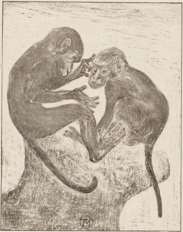 Two flea monkeys, print, printmaker: Theo van Hoytema (signed by artist), 1878 - 1914, paper, chine collé, lithography, blind-stamped, lithography and blind printing on chine collé, height 179 mm x width 142 mm, height 186 mm x width 150 mm, monkeys, apes, looking for flees, A monochrome sketch of two monkeys facing each other on a textured surface, their bodies curled and intertwined with long tails extending downward, one monkey reaching toward the other's face while the other looks slightly downward; the drawing shows fur texture and contour lines, shaded areas, and a simple bordered edge around the composition.
