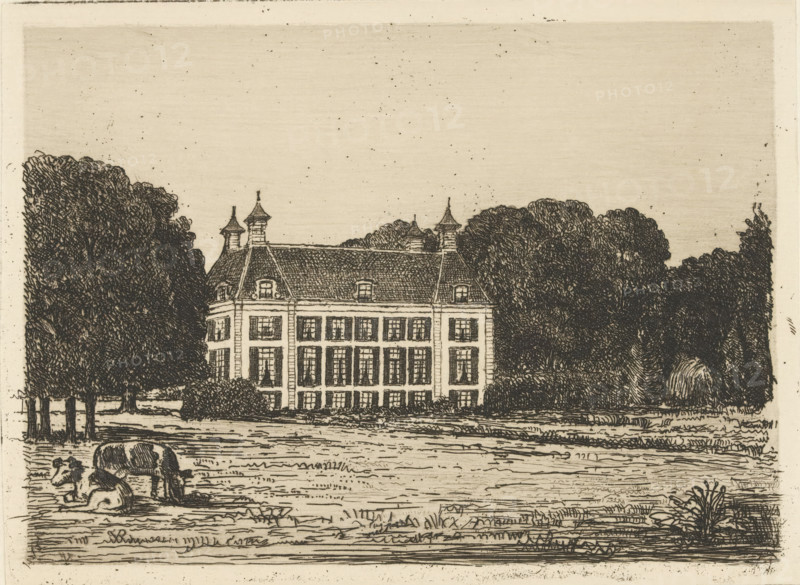 Waterland Estate, print, View from a meadow on the Waterland estate. In the foreground two cows., printmaker: Jonkheer Barthold Willem Floris van Riemsdijk, 1914, paper, etching, intaglio printmaking technique, drypoint, etching and drypoint with plate tone, height 141 mm x width 191 mm, rural housing, eg country-house, villa, cottage, cow, Waterland, A detailed monochrome ink drawing of a large rectangular building with a steep tiled roof and small pointed turrets, framed by dense clusters of tall leafy trees on both sides, set behind an open grassy foreground. In front of the building, there is a low hedge and rows of evenly spaced windows on multiple floors. The foreground shows textured grass patterns and a pair of grazing animals near the left edge, with one animal standing and another lying down. The sky above is sparsely speckled and the overall image has fine linework and hatching throughout.