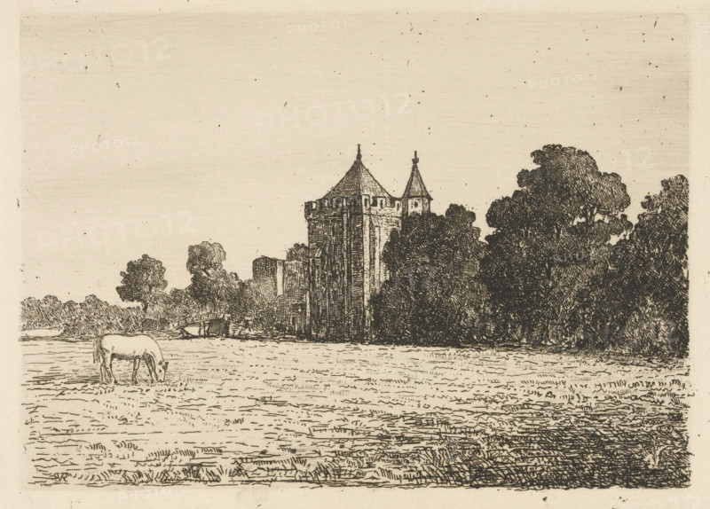 View of Brederode Castle, print, View from a meadow of Brederode Castle in Santpoort. A horse is grazing in the foreground., inscription: 'Brederode', printmaker: Jonkheer Barthold Willem Floris van Riemsdijk, Netherlands, 1865 - 1918, paper, etching, intaglio printmaking technique, etching with plate tone, height 140 mm x width 191 mm, horse, castle, Santpoort, Ruins of Brederode Castle, A wide sepia-toned landscape drawing shows a grassy field in the foreground with a grazing horse near the left edge, a low bridge and clusters of trees behind it, and a tall stone tower with conical roofs partially obscured by dense trees toward the center right, with more trees extending to the right and an open sky above.