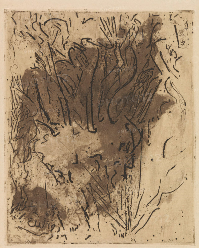 Abstract composition, print, inscription: 'Sois sage, O ma douleur et tiens toi plus tranquil, (Baudelaire)', inscription: 'plate destroyed', printmaker: Erich Wichmann (signed by artist), 1919, paper, etching, intaglio printmaking technique, etching with plate tone, proof print, height 116 mm x width 94 mm, Print possibly inspired by poems by Charles Baudelaire and Paul Verlaine., Abstract, Non-representational Art, An abstract ink composition on aged paper featuring irregular dark brushstrokes and smudges that form curved and elongated shapes, with thin linear marks resembling stems or scratches radiating from lower areas, scattered speckles and blotches throughout, faint contour-like lines along the edges, and variations in tone from deep brown to light beige across the surface.