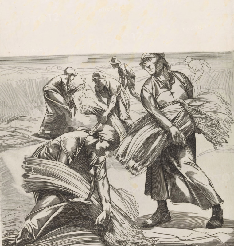 Corn Harvest, Compositions with Mowing Women (former title), print, Men and women with bundles of mown corn in their arms., printmaker: Johannes Josephus Aarts, 1881 - 1934, paper, pencil, engraving, intaglio printmaking technique, engraving and plate tone with additions in pencil, height 325 mm x width 250 mm, cereal, grain, corn (grass with grains, grown for food, eg: wheat, rice, rye, oats, maize, buckwheat, millet), binding, harvest, A monochrome drawing of several people working in a field, shown from waist up to feet, wearing hats and simple garments with visible folds and crosshatching, each holding or bundling long sheaves of grain with sweeping curved lines; one person in the foreground looks outward with a tilted head, another bends forward gathering stalks, and others are depicted in various bent and reaching poses; the background shows a low horizon with horizontal stroke lines and sketched fields, and the ground is filled with textured lines indicating vegetation.