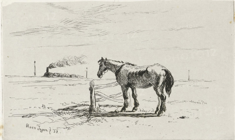 Horse in a meadow, print, Horse by a fence in a meadow. A steam train is driving on the horizon., printmaker: Henry van Ingen, The Hague, Poughkeepsie, 1857, paper, chine collé, etching, etching on chine collé, height 101 mm x width 166 mm, horses and kindred animals, steam locomotive, A pen-and-ink drawing of a horse standing beside a worn wooden post and rail in a flat open landscape, the horse shown in profile with textured shading on its body and mane, its head lowered slightly; in the distant background a small locomotive emits a puff of smoke and there are a few upright posts on the horizon, while the sky above is filled with fine, horizontal sketch lines suggesting clouds.