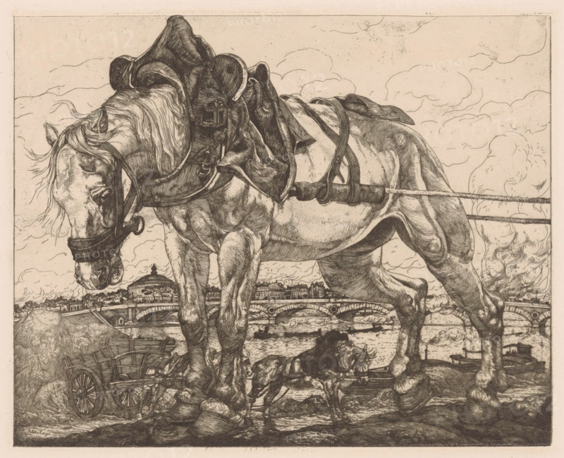 Draft horse by the Seine in Paris, L'Attelage (original series title on object), print, Behind the horse a four-horse team. In the background the Seine, with possibly the Grand Palais on the left., printmaker: Pieter Dupont, Paris, 1898, Pieter Dupont, printmaker, paper, etching, intaglio printmaking technique, height 160 mm x width 197 mm, horse, city-view, and landscape with man-made constructions, Seine, A detailed monochrome etching shows a large draft horse in harness standing over a smaller animal, with visible tack including a bridle, bit, saddle blanket, and traces; the horse's head is lowered and its mane falls over its face. The horse's muscular legs and hooves are prominent, and a small dog or foal stands beneath its belly. In the foreground there is a wooden cart with spoked wheels and a pile of hay beside it. Behind the animals a stone arched bridge spans a river, with boats on the water and buildings along the far bank, including a domed structure. The sky is filled with ...