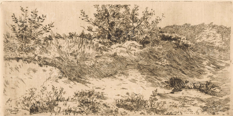 Dune landscape with grasses and shrubs, print, printmaker: Piet Egmond, 1874 - 1908, paper, etching, intaglio printmaking technique, height 110 mm x width 218 mm, dunes (sea not visible), in the dunes, A sepia-toned ink landscape showing a sandy, uneven ground with patches of grass and low shrubs in the foreground, a gently sloping dune or ridge stretching across the middle ground with fine linear shading, and clusters of taller bushes and small trees behind the ridge composed of dense, sketchy branches and leaves. The sky area is largely empty with subtle horizontal marks, while the terrain is detailed with short, directional strokes indicating texture and contours. There are scattered tufts of vegetation and small plants dotting the scene, and the overall composition relies on delicate, crosshatched lines and varied line density to depict depth and form.