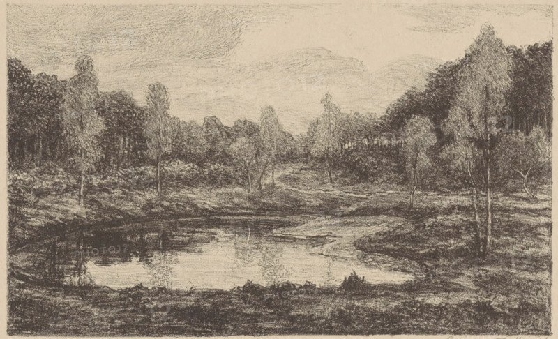 Ven, Boschmeer, print, Around the fen trees., printmaker: Gerarda Wilhelmina ten Hoet (signed by artist), 1867 - 1939, paper, lithography, lithography on gray paper, height 120 mm x width 197 mm, height 165 mm x width 257 mm, fen, Du. 'ven', A monochrome drawing of a landscape with a calm body of water in the foreground reflecting the shapes above, banks of grass and earth along the water, and a gently sloping terrain rising into a grove of trees. Tall, slender trees with textured foliage stand near the water and farther back in denser clusters, creating darker masses on both sides of the image. The sky above is lightly shaded with soft, horizontal strokes, and the overall scene is rendered with varied pencil or charcoal shading that emphasizes texture and contrast between the open water, grassy ground, and wooded areas.