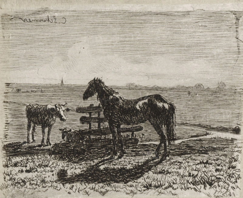 Meadow with a horse and two cows, print, A horse and a cow are standing by a fence in a meadow. A second cow is lying behind the fence., printmaker: Cornelis Albertus Johannes Schermer, The Hague, 1839 - 1915, paper, chine collé, etching, etching on chine collé, height 65 mm x width 80 mm, meadow, pasture, horse, cow, A monochrome etching shows a shoreline scene with a horse standing beside a wooden structure and a cow nearby, both rendered in dark, sketchy lines; the horse casts a long shadow across textured ground covered in grass and small plants, and a calf or small animal lies near the base of the wooden structure; horizontal lines fill the sky and distant horizon, with faint cloud-like shapes, and a small sailboat appears far out on the water; the overall image is detailed with crosshatching and varied line density.