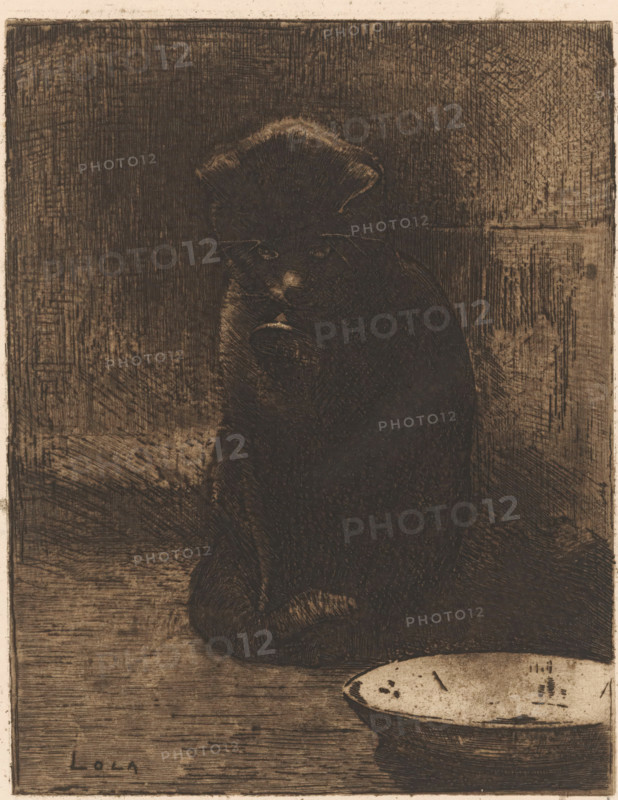 Cat, Lola (original title on object), Cat Lola, print, Sitting cat in front of a bowl., signature: 'Witsen', printmaker: Willem Witsen (signed by artist), c. 1887 - c. 1888, paper, etching, intaglio printmaking technique, height 249 mm x width 179 mm, A dark-toned etching of a seated cat facing forward with its body turned slightly to one side, showing fur texture created by dense crosshatching, a rounded head with visible ears and whiskers, and a lighter patch on its nose; the background and floor are rendered with parallel and crosshatched lines creating a textured rectangular space behind the cat, and a shallow bowl with a lightly shaded interior sits near the cat on the floor.