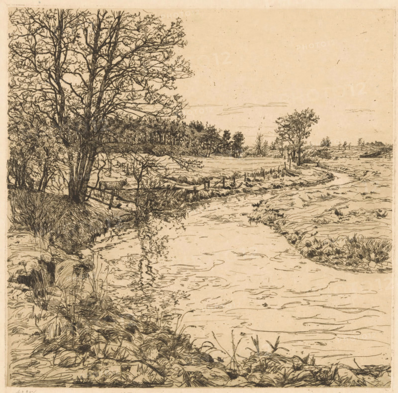 By the Hattemerbeek (original title on object), print, A landscape with a brook near Hattem. On the left, a calf in a meadow, standing by the bank of the brook., printmaker: Gerrit Haverkamp (signed by artist), publisher: Johannes Henricus de Bois, Haarlem, 1882 - 1926, paper, etching, intaglio printmaking technique, height 245 mm x width 248 mm, brook, calf, Hattem, An ink landscape showing a shoreline with a winding waterway, grassy and rocky banks, and detailed vegetation; a large tree with bare branches dominates the left side, smaller trees and bushes appear along the midground, a fence and posts run near the bank, clustered reeds and tufts of grass grow at the water’s edge, the surface of the water is marked with thin fluid lines and ripples, distant trees and low structures sit on the horizon, and the sky is mostly blank with a few faint horizontal cloud lines.