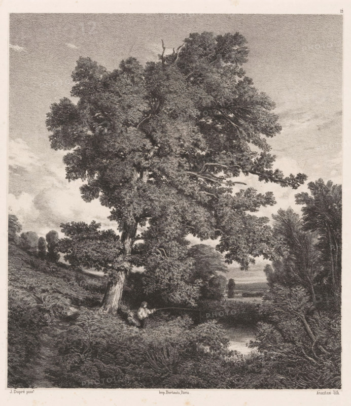Landscape with fisherman under an oak, Souvenir de Sologne, Contemporary artists, Les artistes contemporains, print, Series number, 19, 175, A fisherman stands with a fishing rod by a pond under a large oak in the (former) province of Berry (near Bourges)., printmaker: Auguste Paul Charles Anastasi, Paris, after painting by Jules Dupré, printer (person): Victor Jacques Bertauts, 1846, printer (person), paper, chine collé, lithography, lithografie, height 412 mm x width 294 mm, fisherman, trees: oak, pond, pool, fishing (sports), Berry, A tall, densely leafed tree dominates the scene, its trunk rising from textured undergrowth and branching into a wide canopy of dark foliage that spreads across much of the image; beneath the tree a person sits close to the trunk holding a long, curved object over a small body of water that reflects the surrounding vegetation; in the background there are additional trees of varying heights and a distant open area, and the sky above is lightly textured wi...