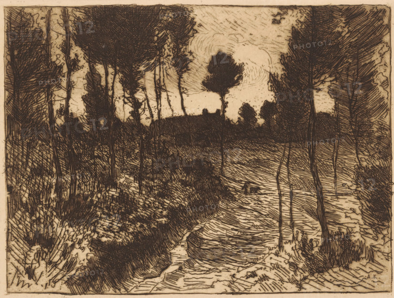 Forest path at evening, print, printmaker: Anton L. Koster, 1869 - 1937, paper, etching, intaglio printmaking technique, height 155 mm x width 207 mm, forest path or lane, evening, A monochrome etching of a wooded landscape showing tall slender tree trunks and dense leafy canopies framing a winding river or stream that flows from the foreground toward the middle distance, with textured grassy and shrubby banks, tangled undergrowth, and areas of crosshatched shadow. The sky is lightly marked with swirling lines and there is a darker silhouette of trees atop a distant ridge, while closer trees cast intricate linear patterns across the water and ground. The image is composed of fine, overlapping line work and varied hatching that create depth and contrast between the darker foliage and the paler sky and water.