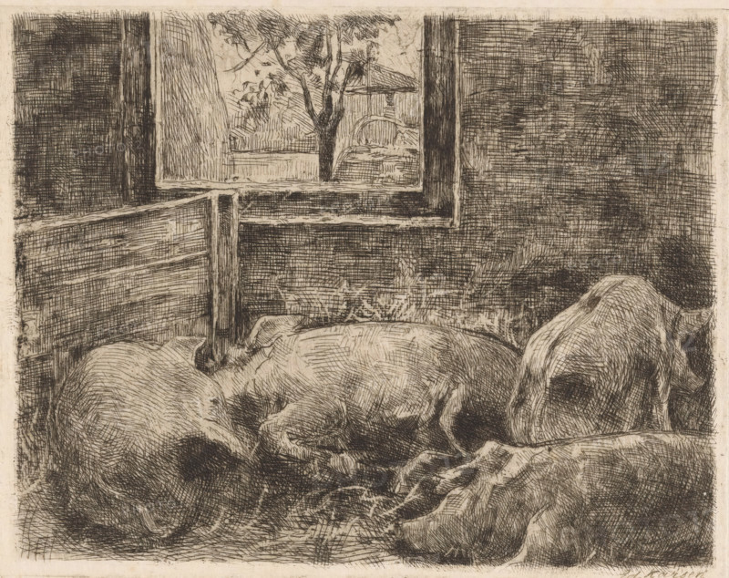 Pigs in a stable, print, printmaker: Eduard Karsen (signed by artist), 1870 - 1941, paper, Japanese paper (handmade paper), etching, intaglio printmaking technique, height 190 mm x width 245 mm, pig, stall, stable, A monochrome etched scene showing two animals lying down inside a room, their rounded backs and curving forms rendered with dense crosshatching, a window with visible framing opens to an outside view where a tree and distant structural elements are sketched, wooden panels and horizontal boards form the interior walls, and the foreground includes folded fabric beneath the animals.