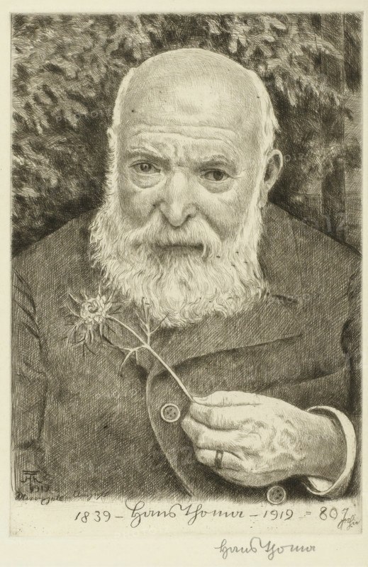 Self-portrait with a thistle, print, printmaker: Hans Thoma, Karlsruhe (possibly), 1919, Baden-Württemberg, paper, etching, drypoint, height 247 mm x width 165 mm, Person, portrait, self-portrait of artist, self-portrait of graphic artist, beard, plants and herbs: thistle, A detailed black-and-white etched portrait of an elderly man with a bald head and a full white beard, shown from the chest up. He wears a dark coat with a visible collar and holds a small flower by its stem in one hand, the hand positioned near his chest and partially resting on the coat; the fingers and knuckles are rendered with visible texture. His eyes look forward beneath furrowed brows and there are fine lines and shading on his forehead and around his eyes. The background is filled with dense crosshatching and textured shading suggesting foliage. The overall image is finely detailed with varied line work throughout the face, clothing, hand, and background.