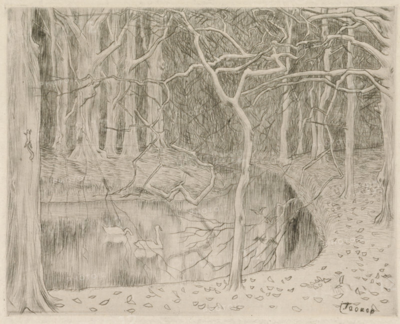 Forest with pond and swans, Pond and forest in winter, Westhoven (original title), print, dedication: 'To Annie and Remy de Block, from J. Th. Toorop 1908.', printmaker: Jan Toorop (signed by artist), dedicated to: Annie de Block (signed by artist), dedicated to: Remy de Block (signed by artist), 1895, paper, drypoint, intaglio printmaking technique, drypoint with plate tone on zinc, height 160 mm x width 201 mm, The print is believed to depict the forest 'De Manteling', near Domburg. Possibly on the grounds of Westhove Castle., forest, wood, water-birds: swan, pond, pool, Domburg (Zeeland), Oostkapelle, Westhove Castle, A pencil drawing of a wooded scene showing many tree trunks and a network of bare branches in the foreground and background, a winding path along one side scattered with fallen leaves, a body of water reflecting branches and trunks, fine vertical and cross-hatched shading indicating depth and texture, and a cluster of leaves and small twigs drawn along the ground.