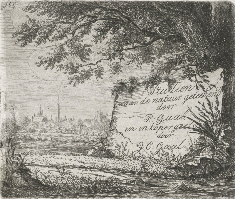 Title print for: Studies drawn from nature, print, title print, Landscape with a village in the distance. Under a tree a stone with the title., printmaker: Jacobus Cornelis Gaal, The Hague, after drawing by Pieter Gaal, c. 1851, paper, chine collé, etching, etching on chine collé, height 95 mm x width 112 mm, landscapes in the temperate zone, A detailed monochrome etching shows a riverside scene with overhanging tree branches and dense foliage on the right, a textured tree trunk leaning into the frame, and grasses and plants along the bank. The foreground contains a water surface with ripples and reflected lines, edged by reeds and low vegetation. In the middle distance a broad flat landscape stretches toward a skyline of clustered spires and building outlines. The sky area is filled with fine horizontal hatch marks and faint circular shading behind the foliage. The composition is rendered with intricate crosshatching and delicate line work throughout.