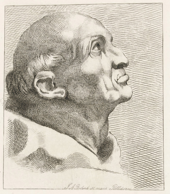 Head of an old man with tonsure, A Monk's Head (former title), print, signature: 'JA Boland 15 January 1860', printmaker: Johannes Arnoldus Boland (signed by artist), Amsterdam, after design by Polidoro da Caravaggio, after design by Polidoro da Caravaggio (attributed to), 1860-01-15, Johannes Arnoldus Boland, Polidoro da Caravaggio, printmaker, after design by, Attributed to, paper, etching, height 234 mm x width 230 mm, monk(s), friar(s), A detailed pen-and-ink profile of a bald male head turned upward, showing a pronounced forehead, brow, nose, lips, chin, and ear, rendered with dense cross-hatching and fine lines for shading and texture against a background of diagonal cross-hatched lines.
