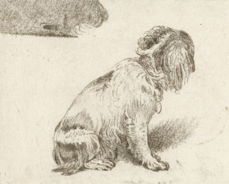 Sitting dog, print, inscription: '2 proef FvMieris del PvAmstel JC. F: 1775', printmaker: Cornelis Brouwer, after drawing by Frans van Mieris, 1775 - 1777, Cornelis Ploos van Amstel, supervision, Amsterdam, paper, crayon manner, transfer print, etching in crayon manner, height 71 mm x width 88 mm, dog, A charcoal or pencil sketch of a seated dog shown in profile facing right, with long, wavy fur on its head, ears, and body, textured shading defining the contours of its back, legs, and tail, and a shaded ground area beneath it, all on a plain, lightly speckled paper background.